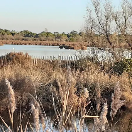Les Aigues Marines Apartment Le Grau-du-Roi