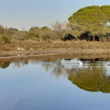 Les Aigues Marines Apartment *